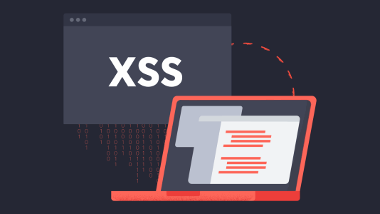Schutz vor Cross-Site-Scripting (XSS)